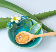 Giới thiệu 1